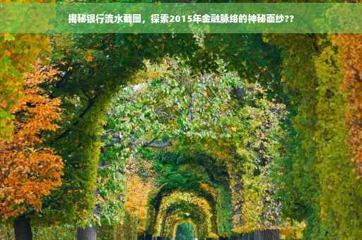 揭秘银行流水截图，探索2015年金融脉络的神秘面纱??