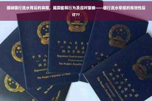 揭秘银行流水背后的真相，揭露偷税行为及应对策略——银行流水举报的有效性探讨??