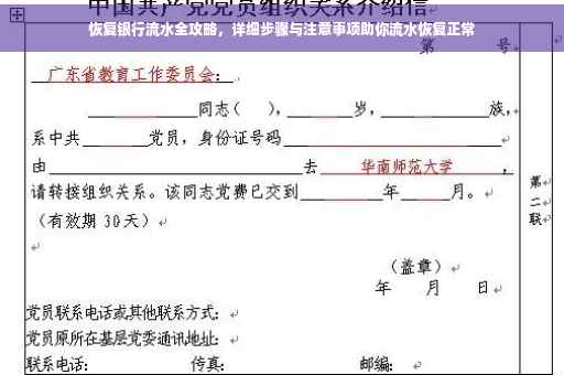 恢复银行流水全攻略，详细步骤与注意事项助你流水恢复正常