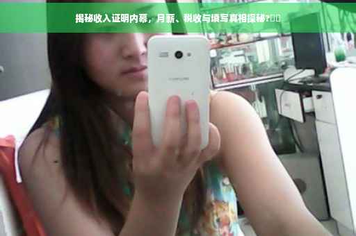 揭秘收入证明内幕，月薪、税收与填写真相探秘?⚡️