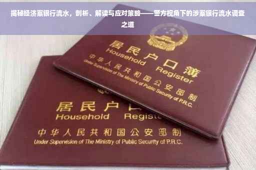 揭秘经济案银行流水，剖析、解读与应对策略——警方视角下的涉案银行流水调查之道