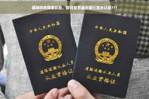 揭秘财务健康状态，如何查看最近银行流水记录???