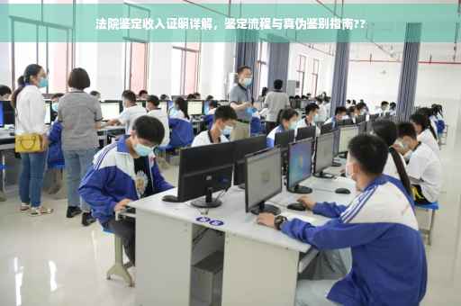 法院鉴定收入证明详解，鉴定流程与真伪鉴别指南??