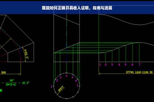医院如何正确开具收入证明，指南与流程