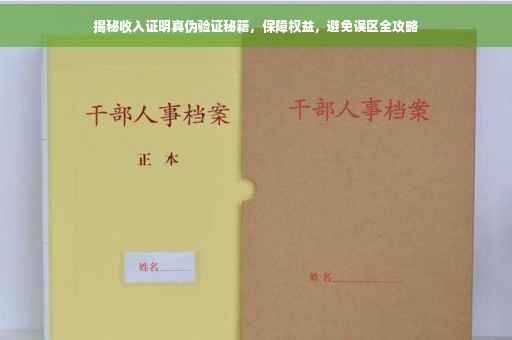 揭秘收入证明真伪验证秘籍，保障权益，避免误区全攻略