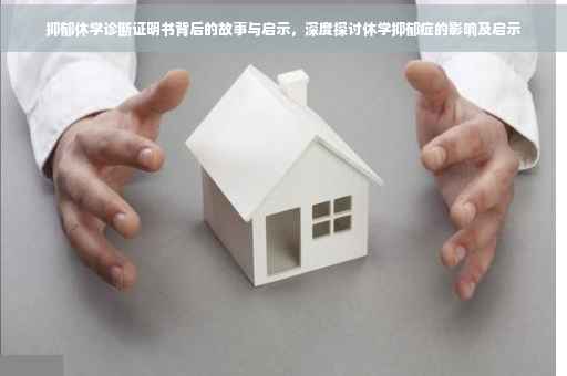 抑郁休学诊断证明书背后的故事与启示，深度探讨休学抑郁症的影响及启示