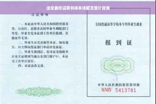 法定委托证明书样本详解及图片指南
