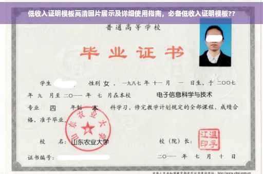 低收入证明模板高清图片展示及详细使用指南，必备低收入证明模板??