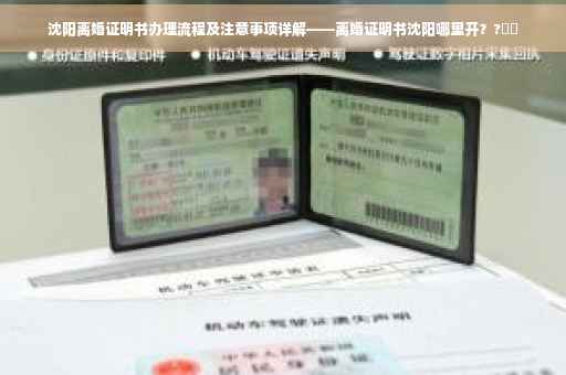 沈阳离婚证明书办理流程及注意事项详解——离婚证明书沈阳哪里开？?⚡️