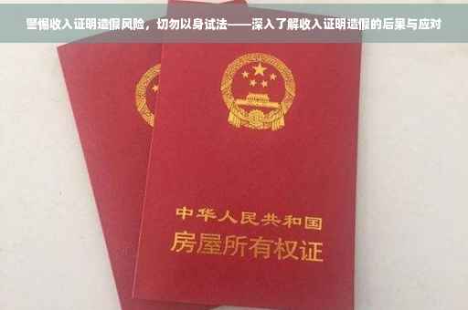 警惕收入证明造假风险，切勿以身试法——深入了解收入证明造假的后果与应对