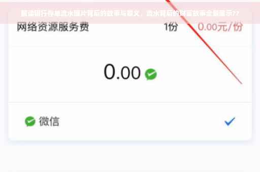 解读银行存单流水图片背后的故事与意义，流水背后的财富故事全景展示??