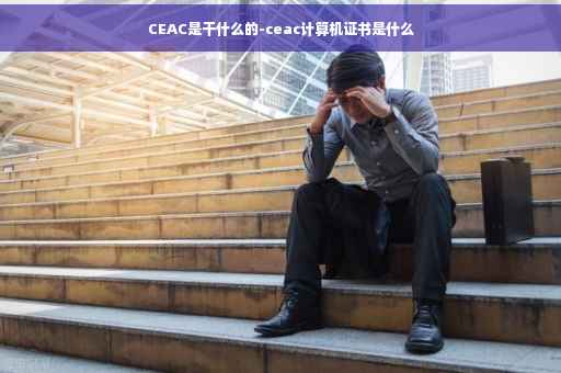 CEAC是干什么的-ceac计算机证书是什么