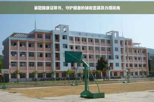襄阳健康证明书，守护健康的秘密武器及办理指南