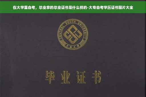 在大学里自考，毕业拿的毕业证书是什么样的-大专自考学历证书图片大全