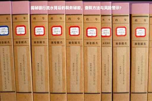 揭秘银行流水背后的税务秘密，查税方法与风险警示?