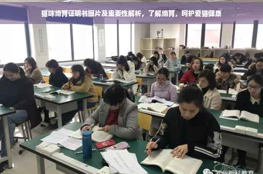猫咪绝育证明书图片及重要性解析，了解绝育，呵护爱猫健康