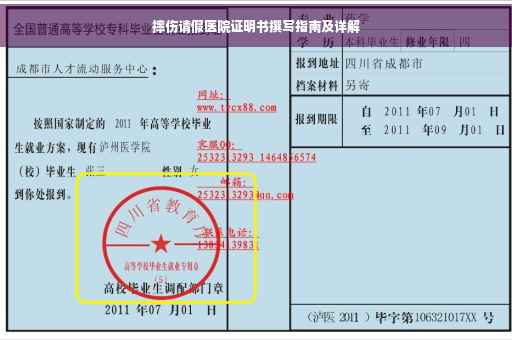 摔伤请假医院证明书撰写指南及详解