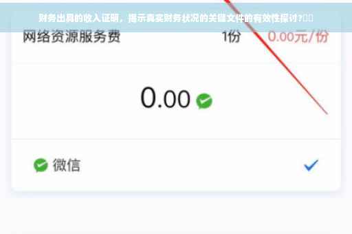 财务出具的收入证明，揭示真实财务状况的关键文件的有效性探讨?⚡️