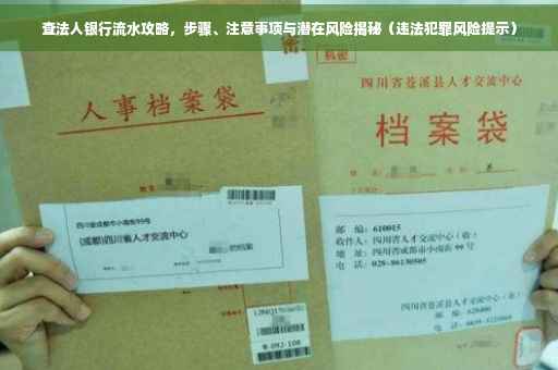 查法人银行流水攻略，步骤、注意事项与潜在风险揭秘（违法犯罪风险提示）