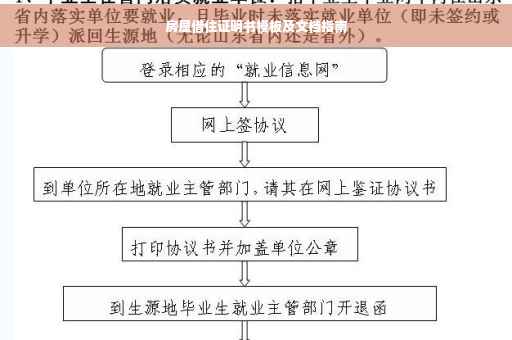 房屋借住证明书模板及文档指南