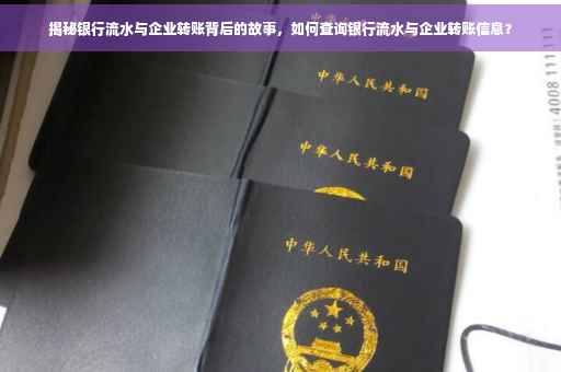 揭秘银行流水与企业转账背后的故事，如何查询银行流水与企业转账信息？