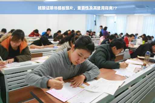 核酸证明书模板图片，重要性及其使用指南??