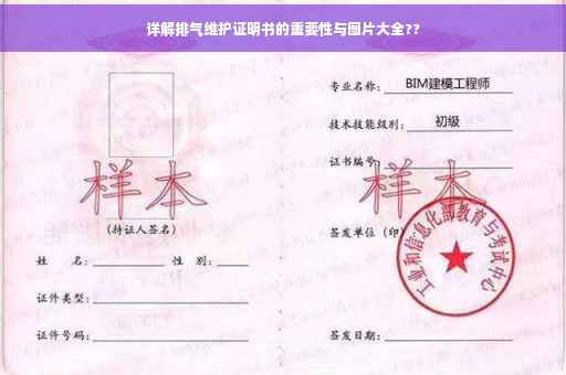 详解排气维护证明书的重要性与图片大全??
