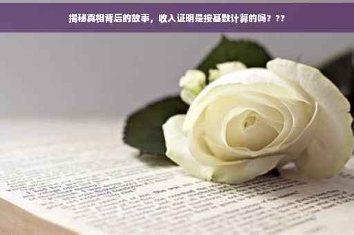 揭秘真相背后的故事，收入证明是按基数计算的吗？??