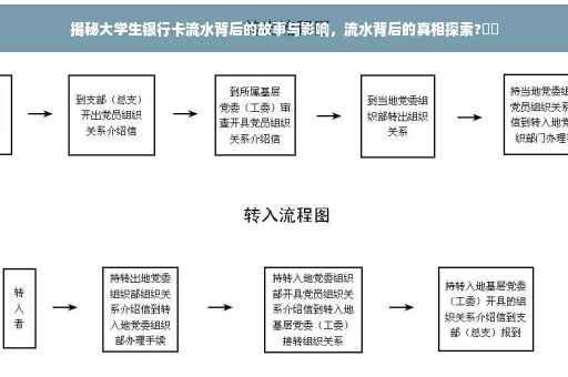 揭秘大学生银行卡流水背后的故事与影响，流水背后的真相探索?⚡️