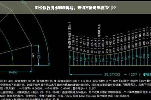 对公银行流水明细详解，查询方法与步骤指引??