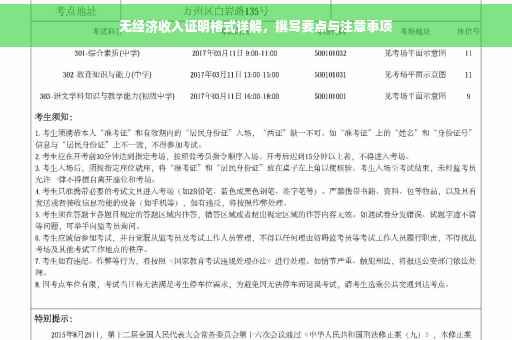 无经济收入证明格式详解，撰写要点与注意事项
