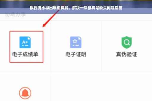 银行流水导出明细详解，解决一级机构号缺失问题指南