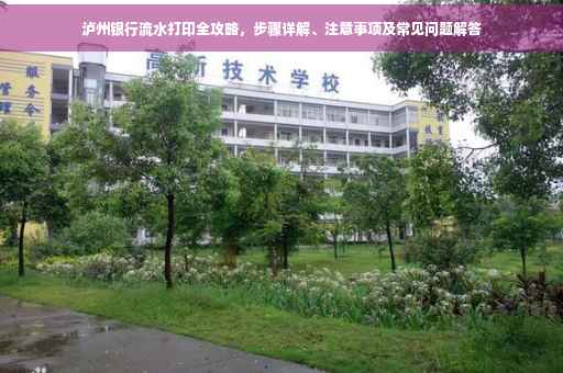 泸州银行流水打印全攻略，步骤详解、注意事项及常见问题解答