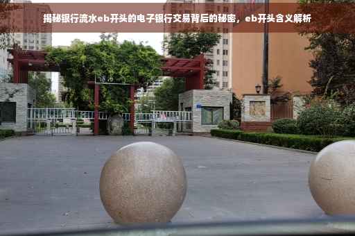 揭秘银行流水eb开头的电子银行交易背后的秘密，eb开头含义解析