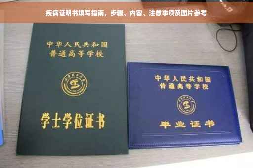 疾病证明书填写指南，步骤、内容、注意事项及图片参考