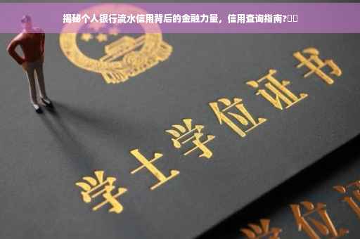 揭秘个人银行流水信用背后的金融力量，信用查询指南?⚡️