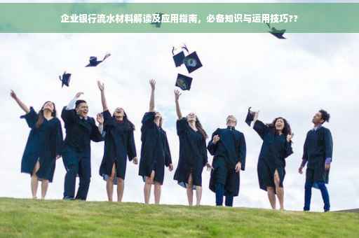企业银行流水材料解读及应用指南，必备知识与运用技巧??
