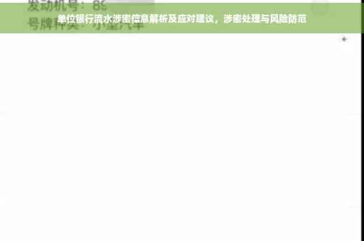 单位银行流水涉密信息解析及应对建议，涉密处理与风险防范