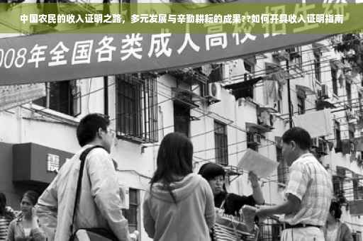 中国农民的收入证明之路，多元发展与辛勤耕耘的成果??如何开具收入证明指南