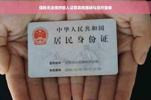 保险无法提供收入证明真相揭秘与应对策略