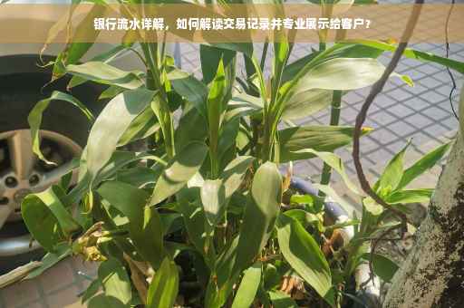 银行流水详解，如何解读交易记录并专业展示给客户？