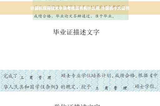 计算机应用技术中级考核证书有什么用,计算机十大证书