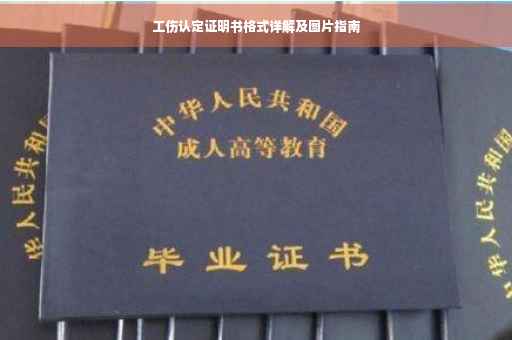 工伤认定证明书格式详解及图片指南