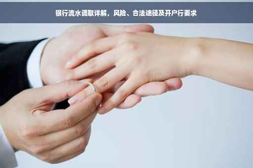 银行流水调取详解，风险、合法途径及开户行要求