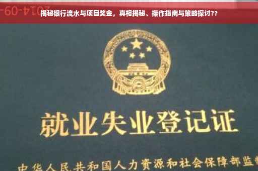 揭秘银行流水与项目奖金，真相揭秘、操作指南与策略探讨??