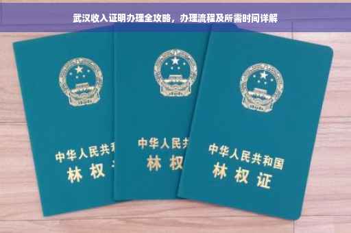 武汉收入证明办理全攻略，办理流程及所需时间详解