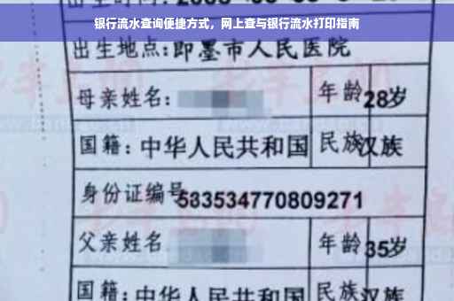 银行流水查询便捷方式，网上查与银行流水打印指南
