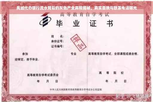 禹城代办银行流水背后的灰色产业真相揭秘，真实面貌与联系电话曝光