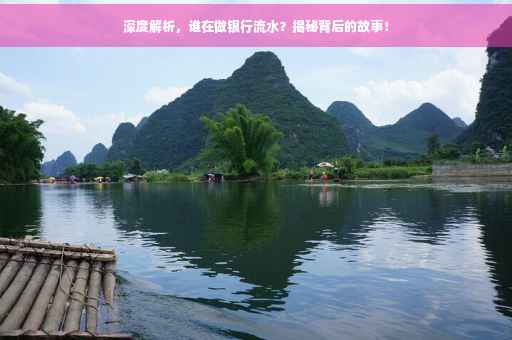 深度解析，谁在做银行流水？揭秘背后的故事！