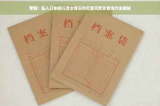 警惕！私人订制银行流水背后的犯罪风险及查询方法揭秘